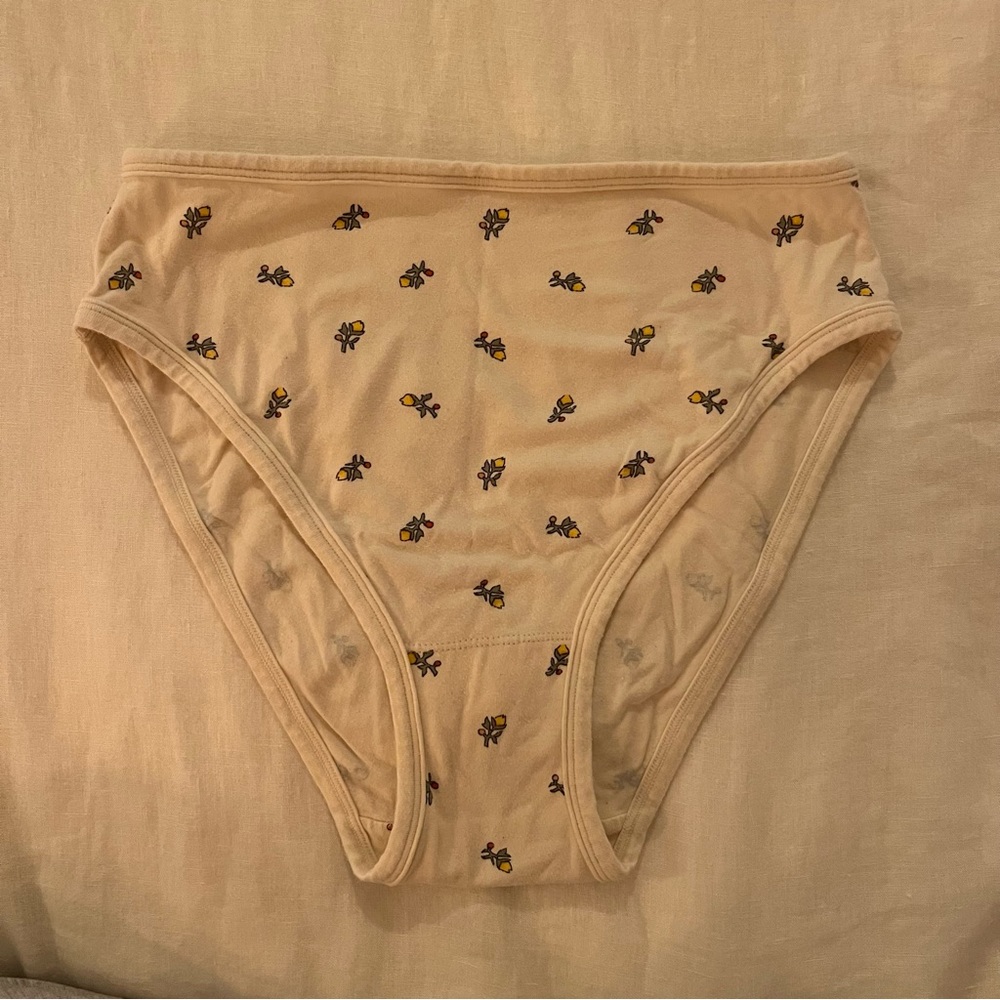 ARQ Misha Undies